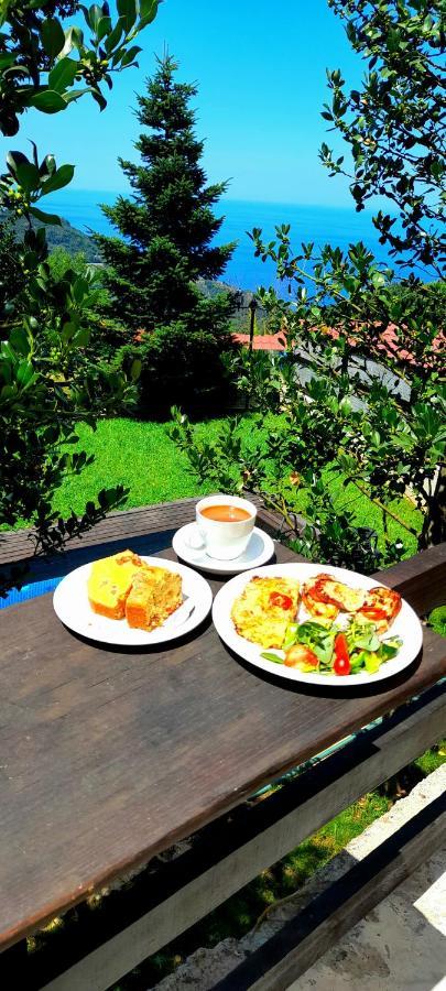 Golden Mountain Guest House Anilio Pelion Eksteriør bilde